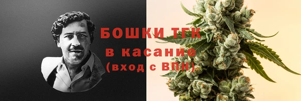 крисы Алексин