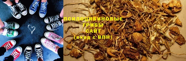 крисы Алексин