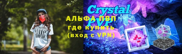 крисы Алексин