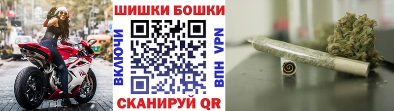 МЕГА   Межгорье  Конопля семена 